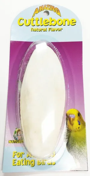 30001 Medium Cuttlebone