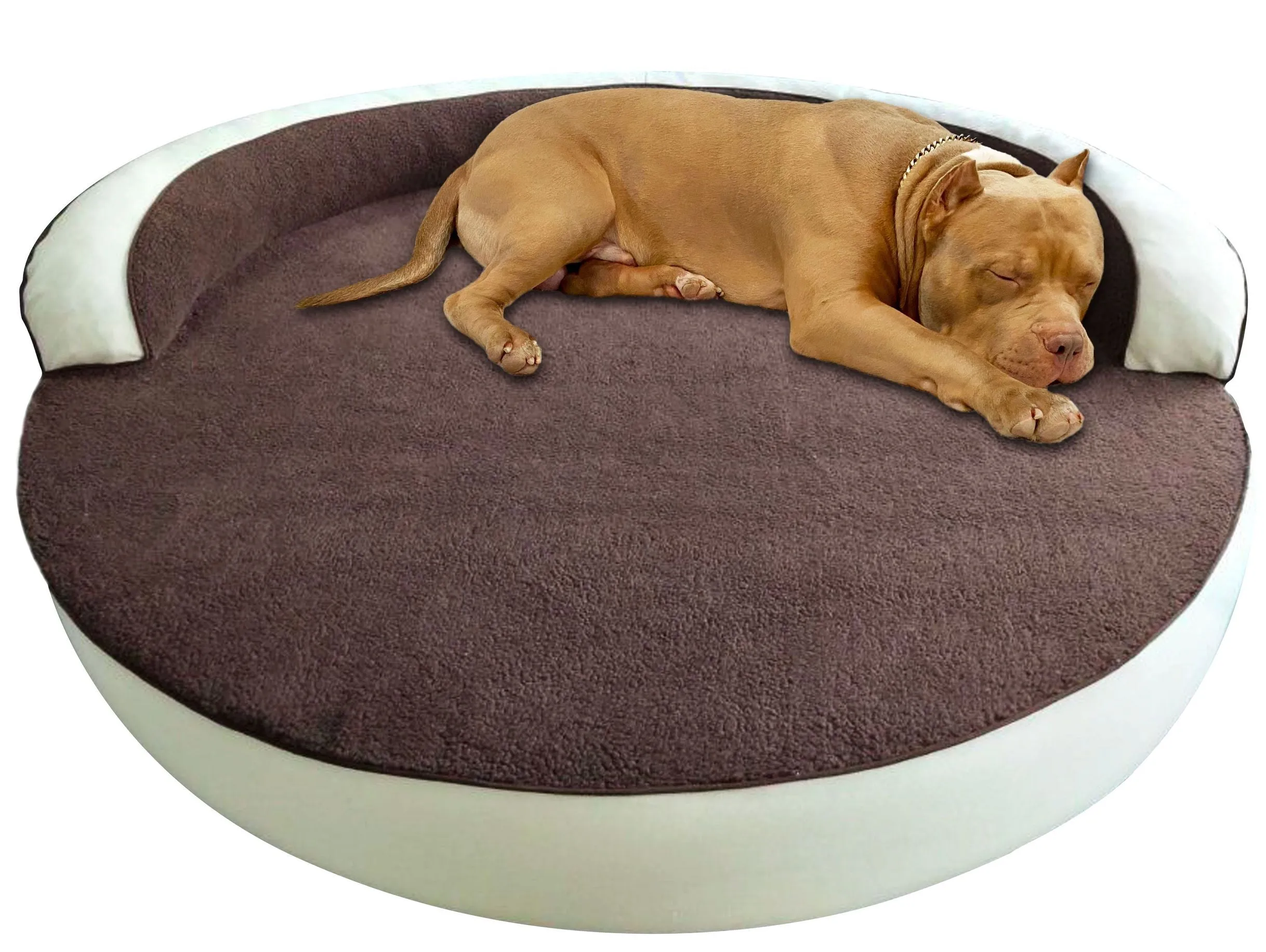 Clearance Dog Beds