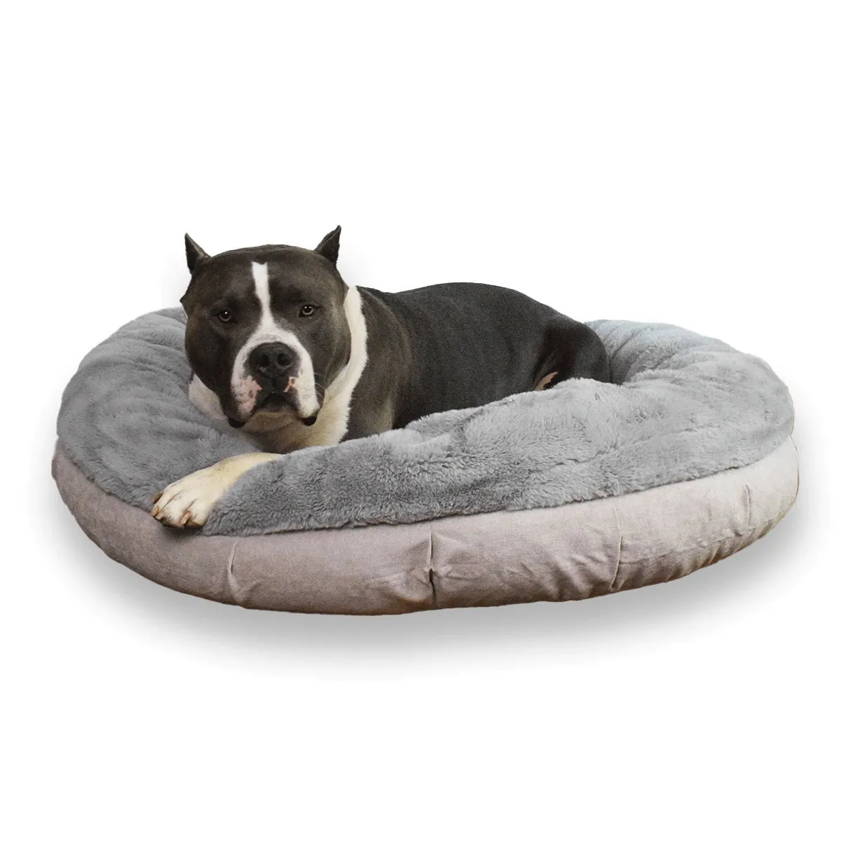 Clearance Dog Beds