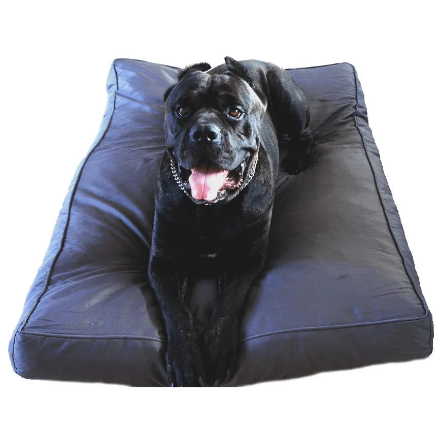 Clearance Dog Beds
