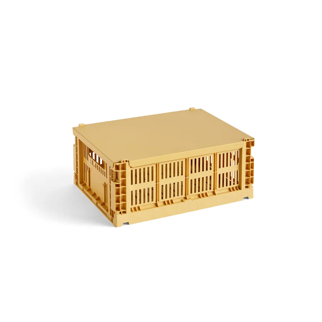 Colour Crate Lid Golden Yellow