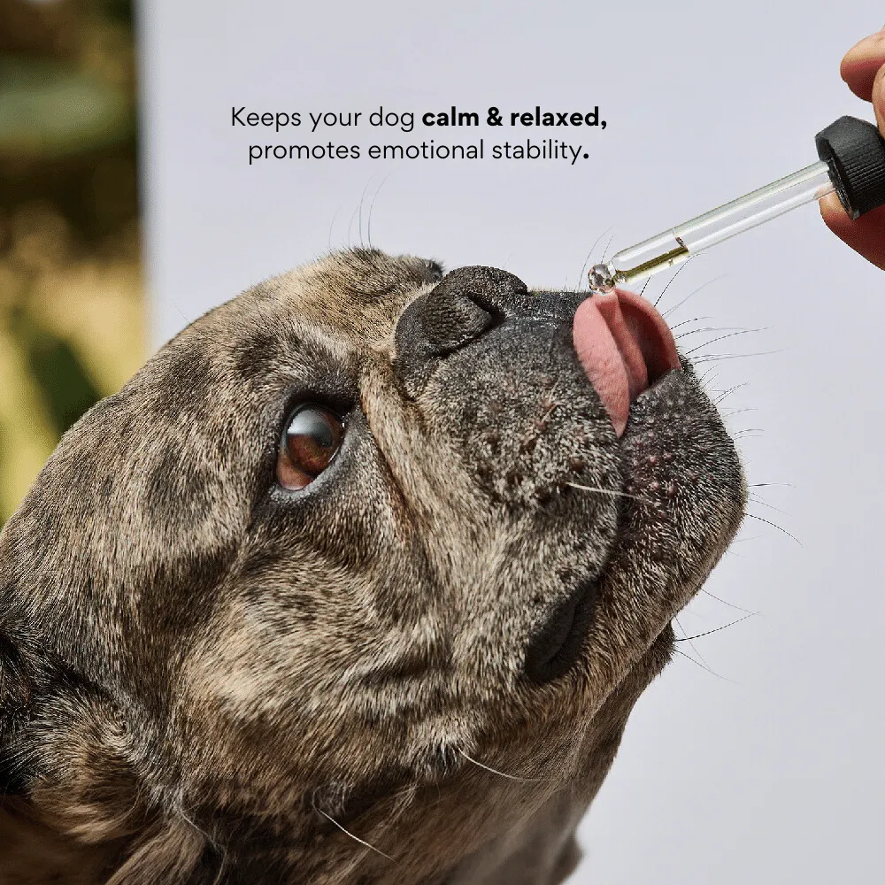 Kanu Pet No Stress Flower Essence Oils for Pets, Promotes Calmness, Controls Fear and Anxiety