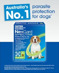 NEXGARD SPECTRA GREEN chews for Small Dogs 7.6 ~ 15kg - Heartworm & Worming   Flea & Tick Protection