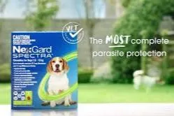NEXGARD SPECTRA GREEN chews for Small Dogs 7.6 ~ 15kg - Heartworm & Worming   Flea & Tick Protection