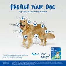 NEXGARD SPECTRA GREEN chews for Small Dogs 7.6 ~ 15kg - Heartworm & Worming   Flea & Tick Protection