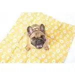 On-The-Go Pet Mat