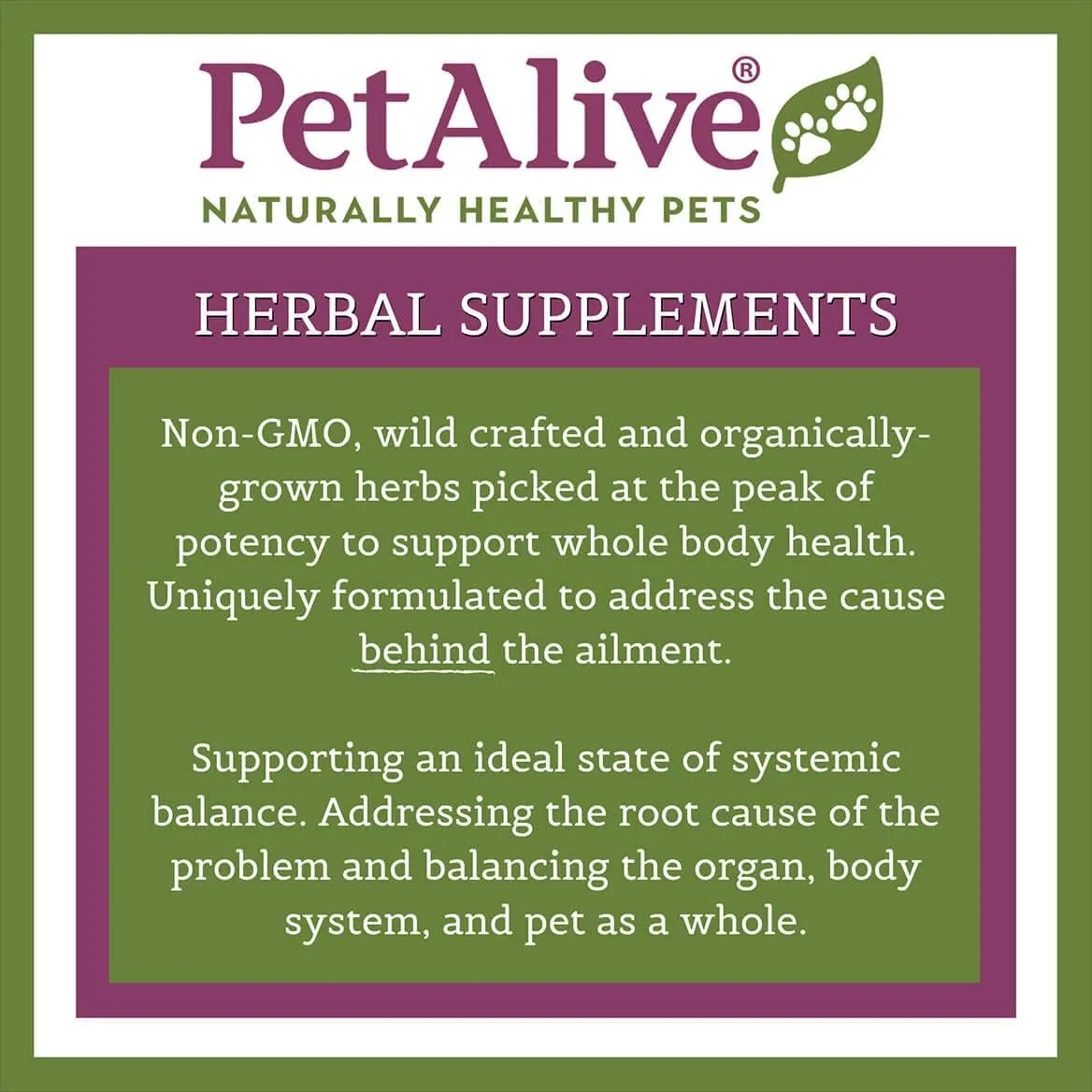 PetAlive Natural Moves
