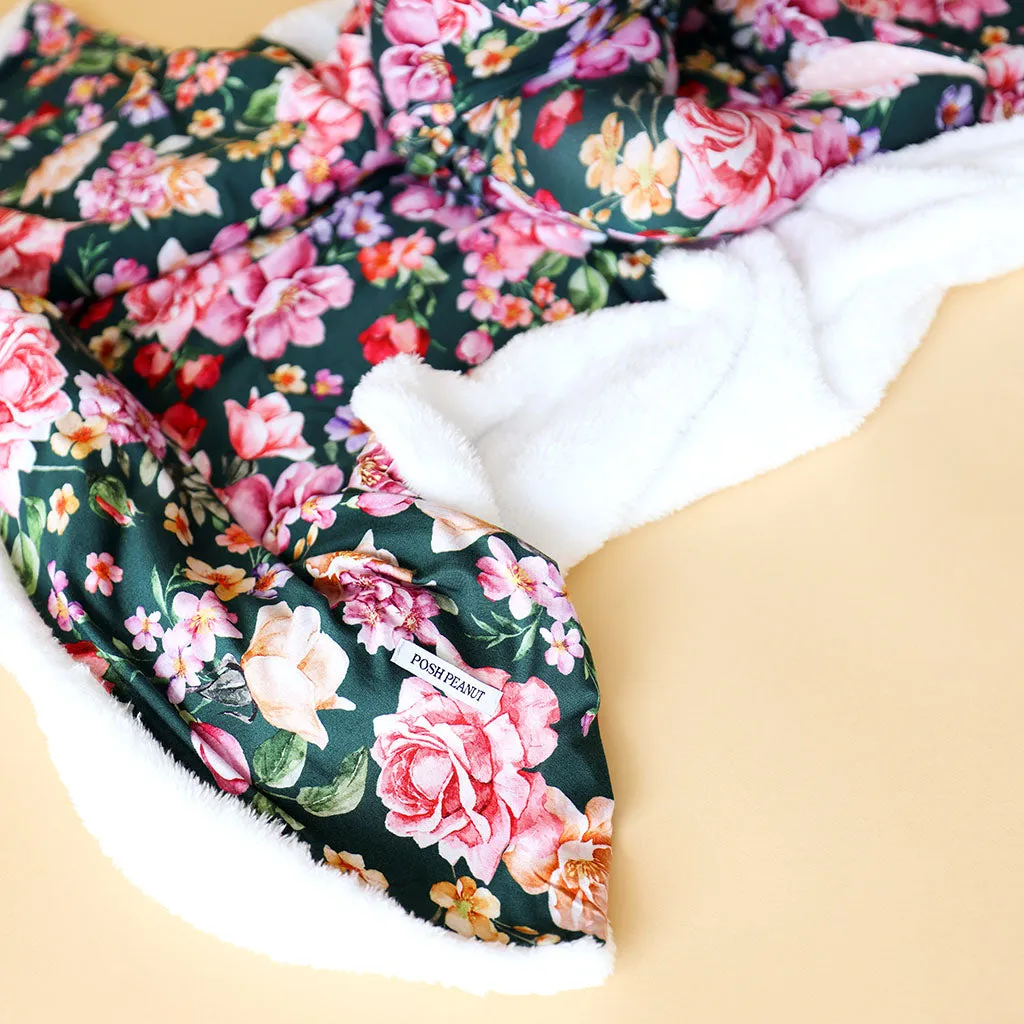 Posh Peanut Arsine Plush Patoo Blanket