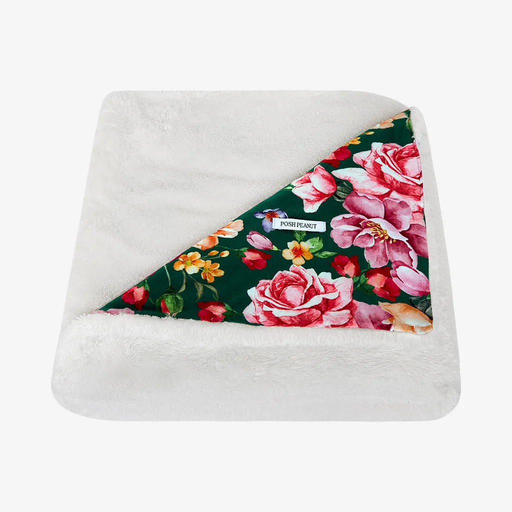 Posh Peanut Arsine Plush Patoo Blanket