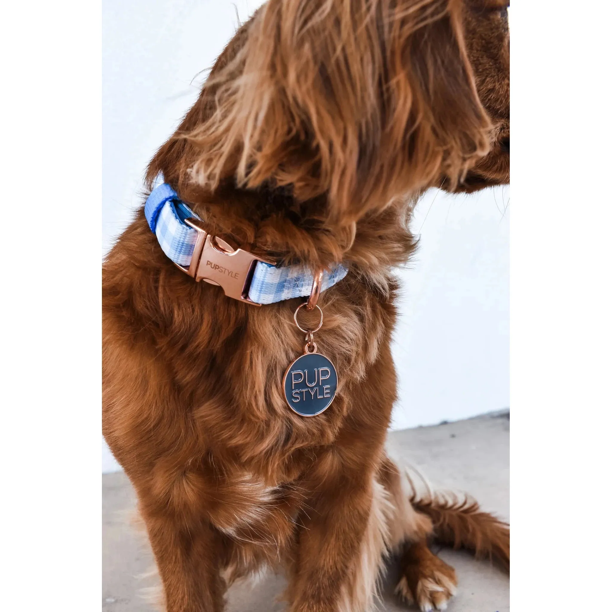 Pupstyle Suburban Collection Blueberry Muffin Dog Collar Large