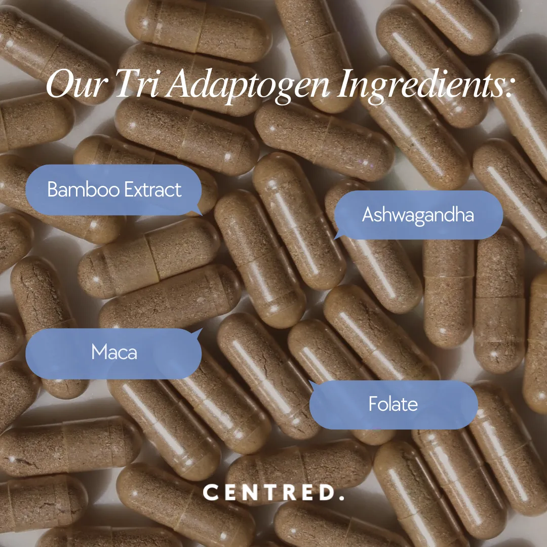 Tender Love and Hair™ | Menopause Hair Vitamins - 3 Month Supply