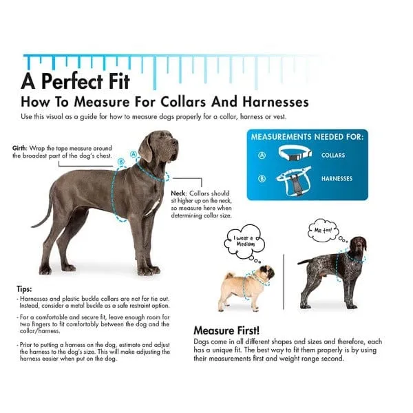 Titan Prong Training Collar
