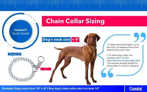 Titan Prong Training Collar