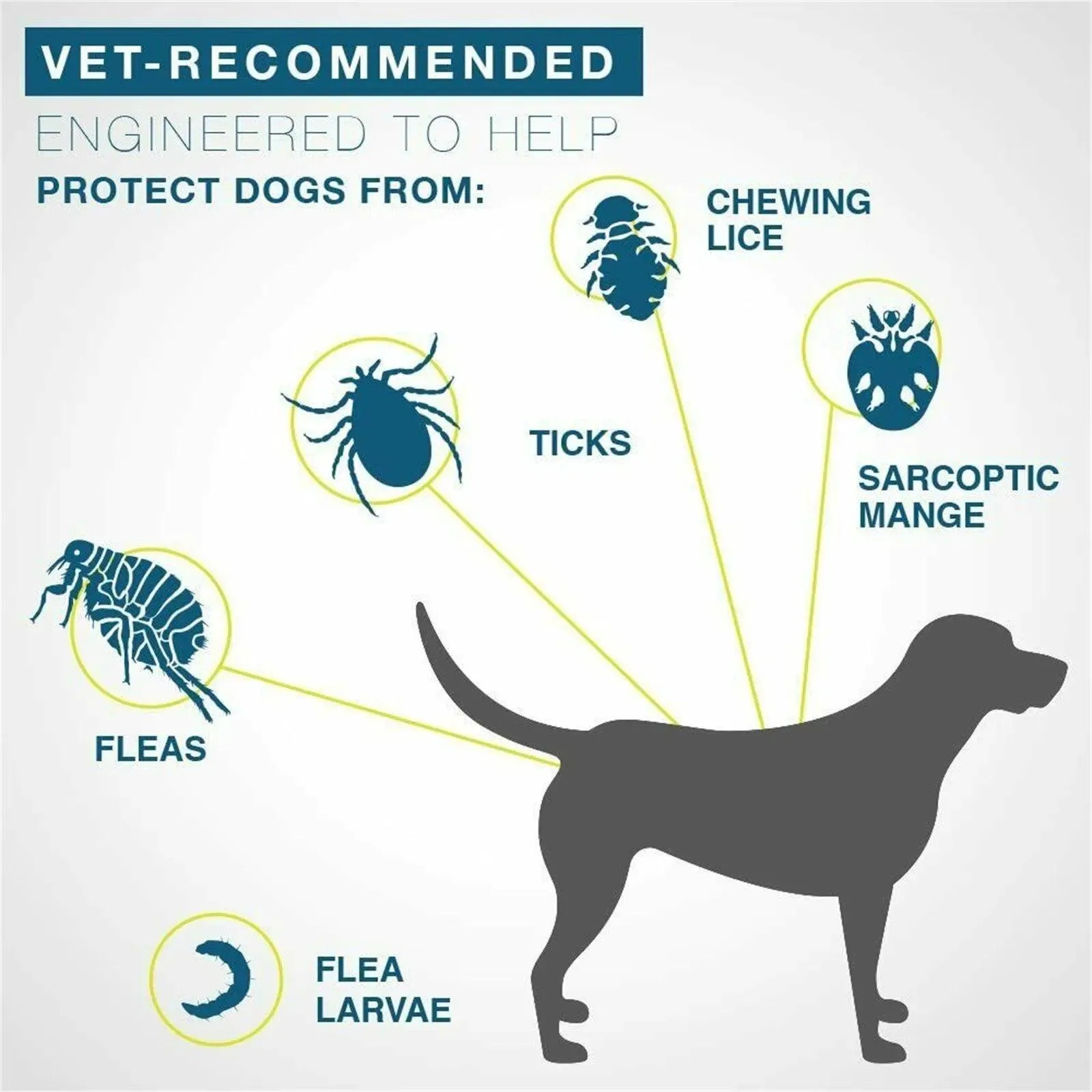 UltimateGuard Dog anti Flea and Tick Collars, 8Month Protection (Highly Rated)